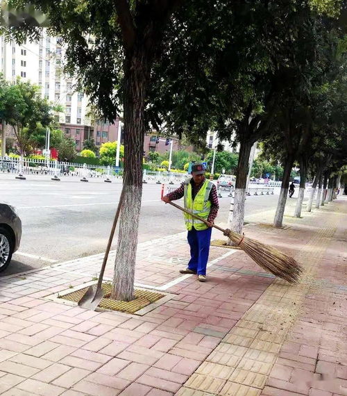 槐花飄香滿城道，環衛揮帚護潔忙——市政環衛全力保障春季環境衛生與設施服務